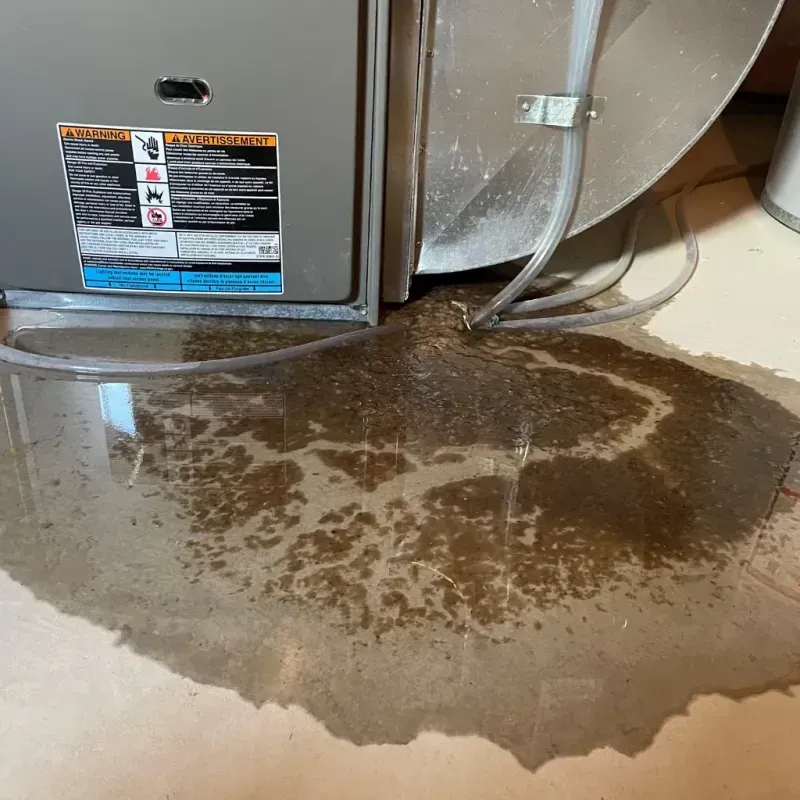 Appliance Leak Cleanup in Fort Oglethorpe, GA